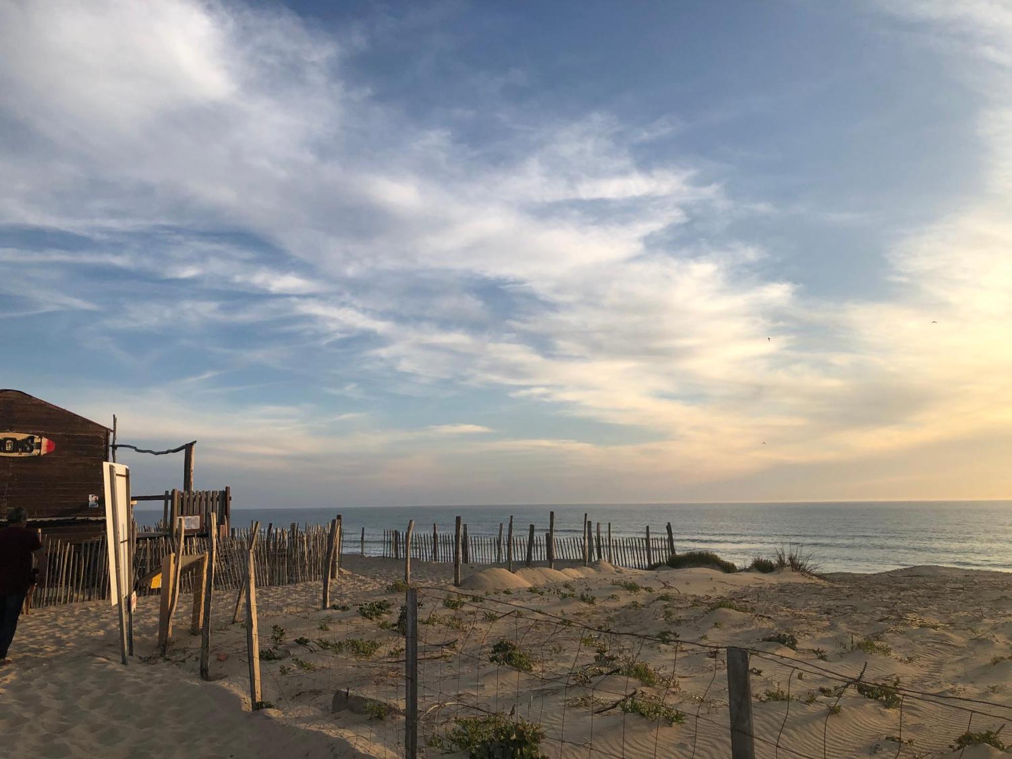 La Cabane De Biscarrosse Стая снимка